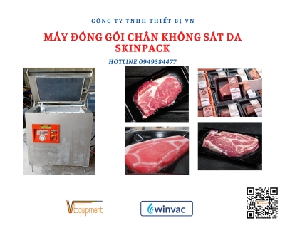 MÁY ĐÓNG GÓI SKINPACK - Ảnh 2